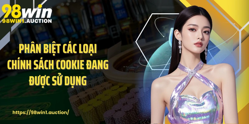 Phân biệt các loại chính sách cookie đang được sử dụng